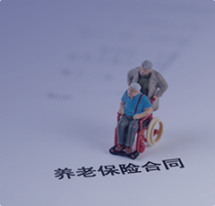 中國人壽BI綜合數(shù)據(jù)服務(wù)平臺(tái)